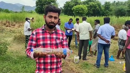 உசிலம்பட்டியில் சூப்பர்.. வலை வீசி வெட்டுக்கிளியை பிடிக்கும் அதிகாரிகள் - வீடியோ