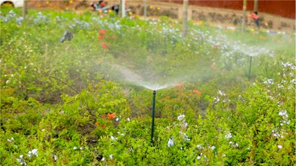 Irrigation systems in Kigali Highways green space, the new way to boost its beauty