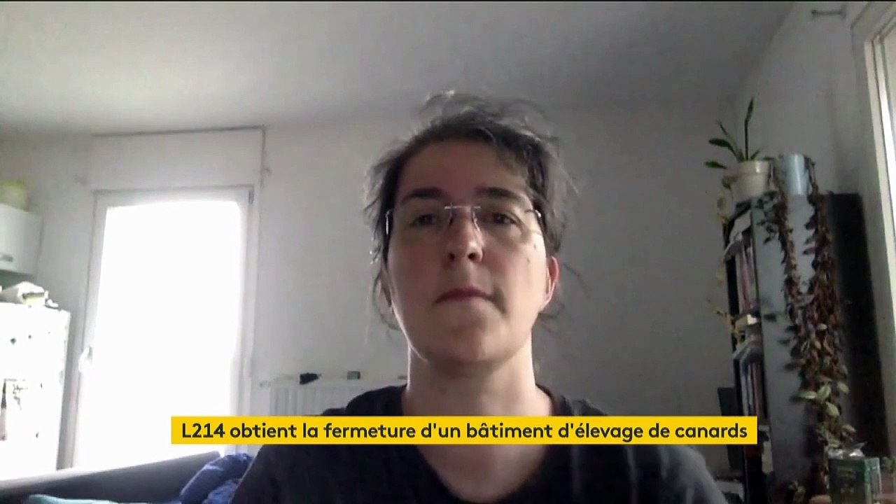 Bien-être animal : les images stupéfiantes d’un élevage de canards dévoilées par L214