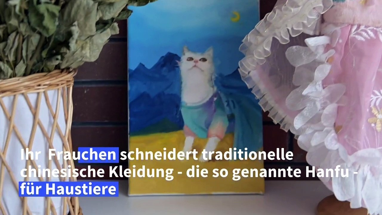 Chinesin schneidert seidene Hanfu für Haustiere