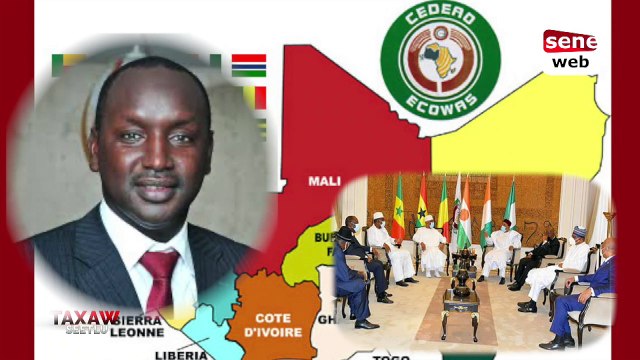 [Taxaw seetlu] Crise malienne: les stupides positions de la Cedeao
