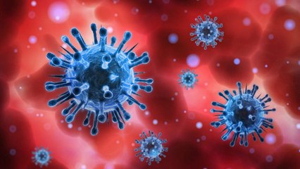 End of Pandemic?డిసెంబర్ 3 నాటికి దేశంలో కరోనా వైరస్ అంతం : Times Fact-India Outbreak Report