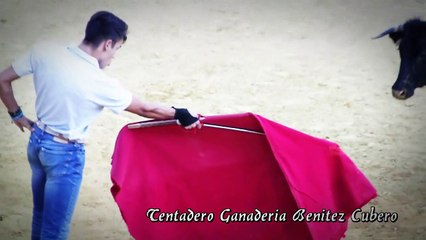 ALFONSO ALONSO SANCHEZ- TENTADERO