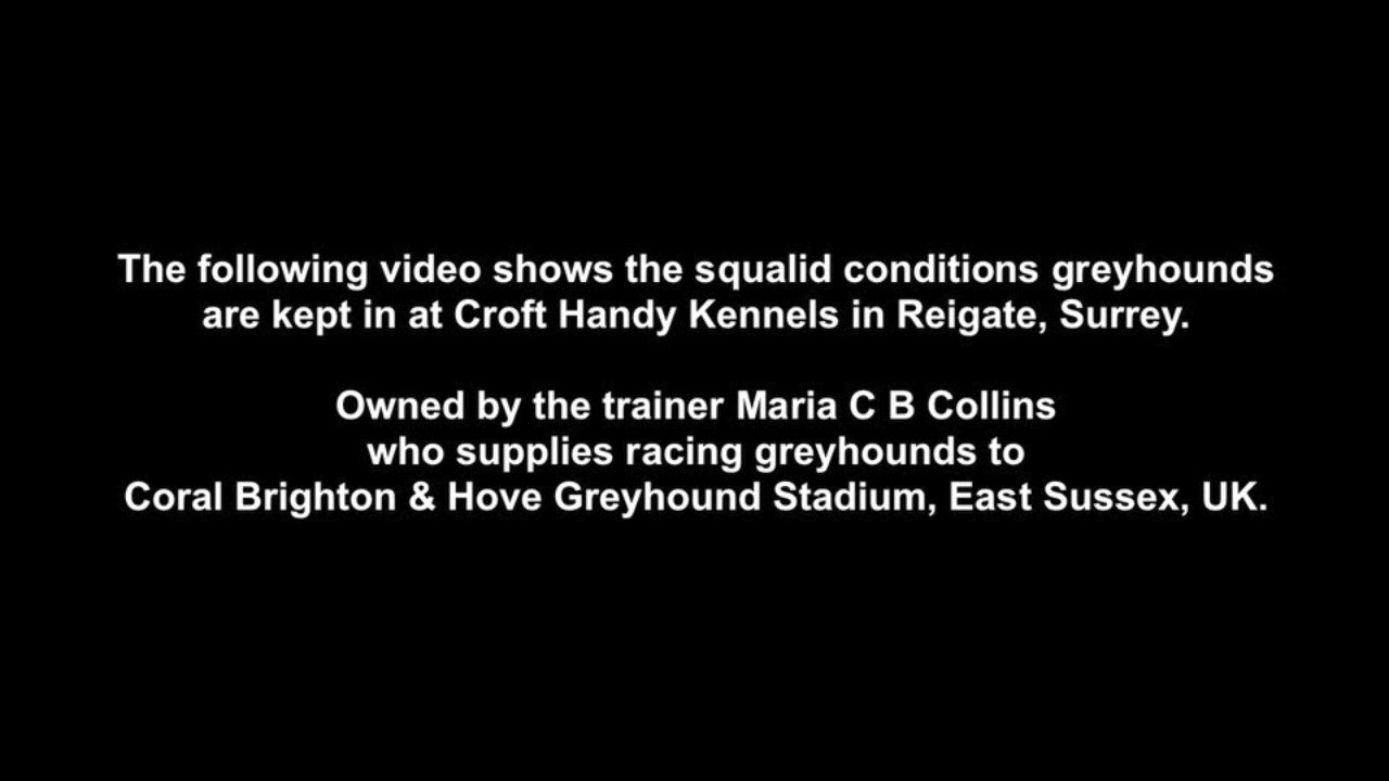 Croft Handy Kennels