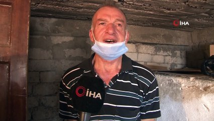 Evlerinin bir bölümünü sokak hayvanlarına ayıran çift, mama desteği bekliyor