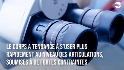 Ces cellules souches modifiées font repousser le cartilage articulaire