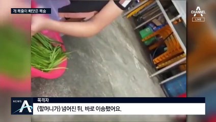 개 목줄에 걸려 숨진 中 할머니…그냥 지나친 12살 소녀
