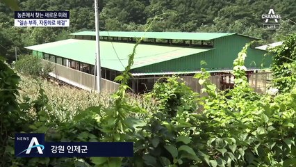 “심각한 농촌 일손 부족…자동화 시설로 해결했어요”
