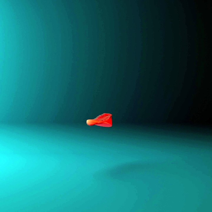 My first animation render!