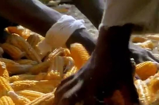 Egypt's Golden Empire The Warrior Pharaohs