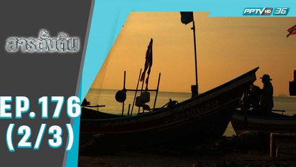 สารตั้งต้น ตอน สารจากลูกทะเล (2/3)