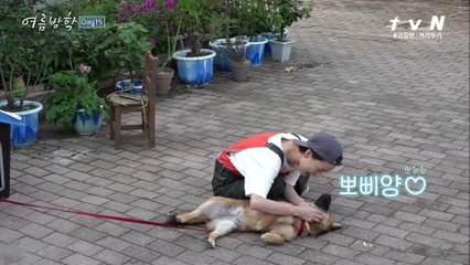 보기만 해도 힐링♡ 뽀삐와 윰블리의 휴식 타임