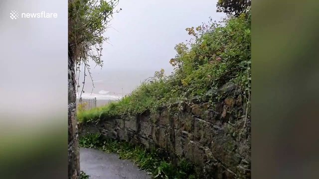 Locals run into the sea to swim as Storm Ellen batters Ireland
