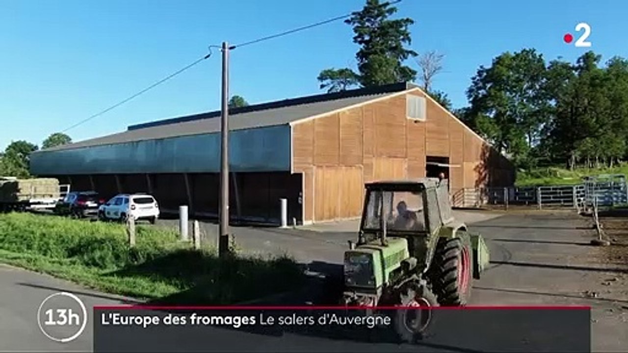 Gastronomie : à la découverte du salers d’Auvergne