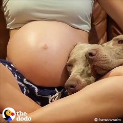 Hayvan sevgisi ve mutluluk