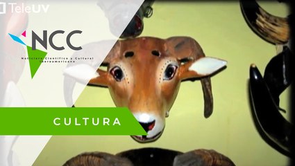 Pueblos gozan de carnavales afromestizos en México