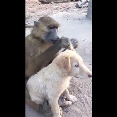 Hamilelikte doğru tedavi yöntemleri