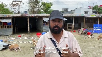 Bangladeş'te 'sokak köpeklerini kırsalda ölüme terk etme' programına tepki