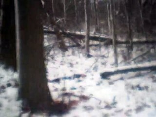 Ruf Vom Berge vocals only