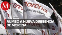 TEPJF ordena al INE renovar dirigencia de Morena: Sergio Gutiérrez