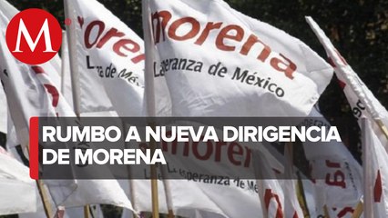 TEPJF ordena al INE renovar dirigencia de Morena: Sergio Gutiérrez