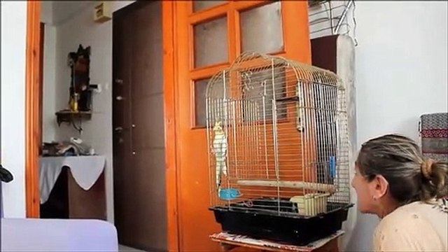 Ufuk Jako Papagan 3.Bölüm Sır Yapım Sunar