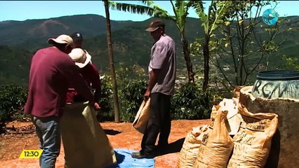 Costa Rica Noticias - Edición meridiana 21 de agosto del 2020
