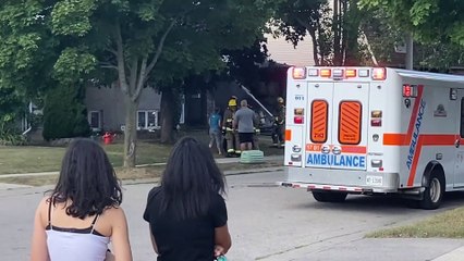 Both Dogs Saved From Garage Fire