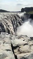 Mysterious Creature Spotted in Iceland