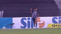 Botafogo 2 x 1 Atlético-MG - Campeonato Brasileiro 2020 - Melhores Momentos