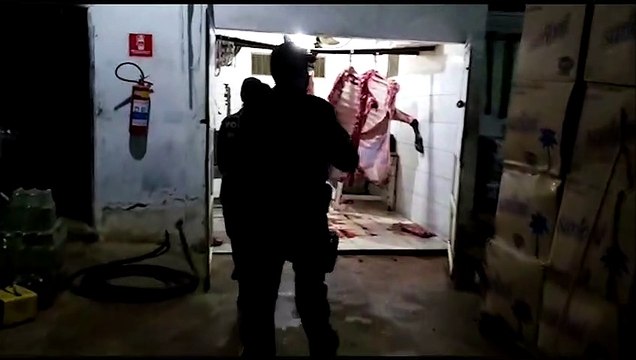 Carne clandestina é apreendida em Dores do Rio Preto