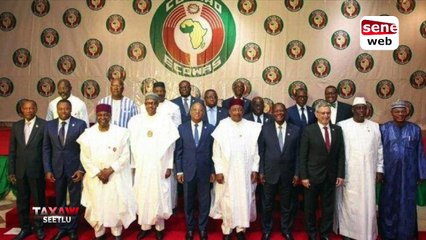 [Taxaw seetlu] le livre explosif de Thierno Alassane Sall; au-delà de l'agression de Boy Kaïré