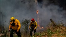 California Wildfires Threaten Homeowners, But So Do Shelters Full Of COVID