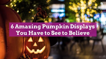 6 Amazing Pumpkin Displays You Have to See to Believe