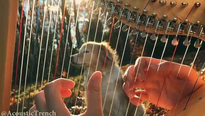 Hallelujah on a Harp - Leonard Cohen Tribute