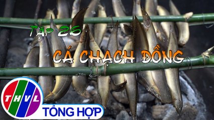 Tinh hoa bếp Việt: Cá chạch đồng | Món ngon miền sông nước - Tập 26