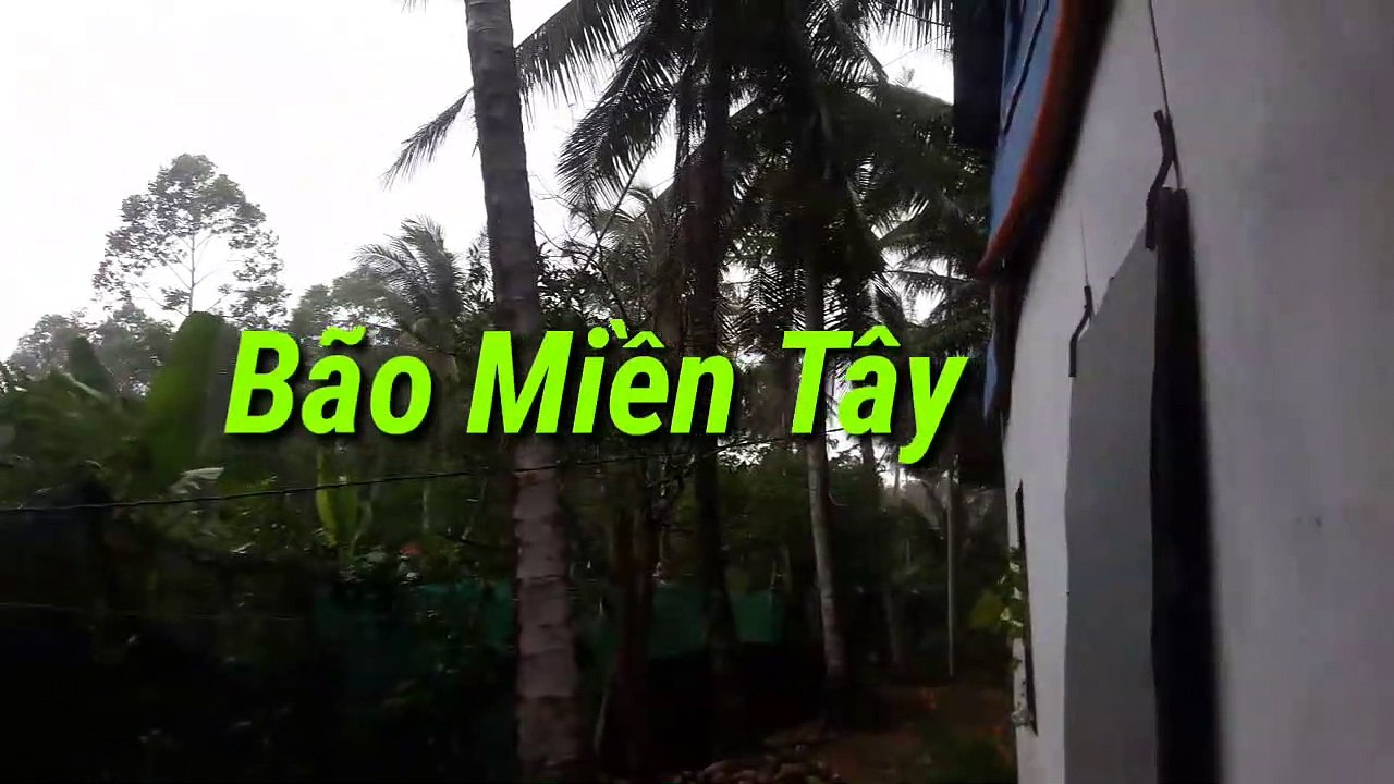 Bão Miền Tây