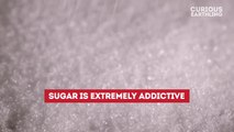 What Happens if We Stop Eating Sugar?