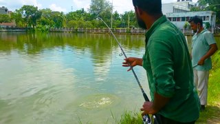 fish hunting || amazing big kalibahush fish catch