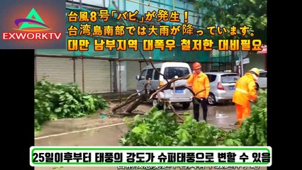 8호태풍'바비'대만,중국,한국 강타 싼사댐붕괴 양쯔강5호홍수 쓰촨성 대홍수 충칭시 물바다 폭우홍수 산사태 지진 위기 시뮬레이션 규모 원전 구글어스 예언 다큐변형 양쯔강(삼협댐)