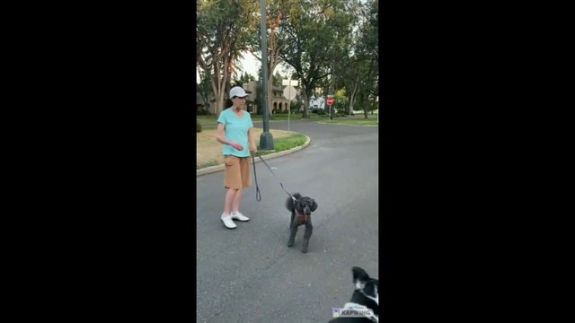 Karen Public Freakouts Compilation #1