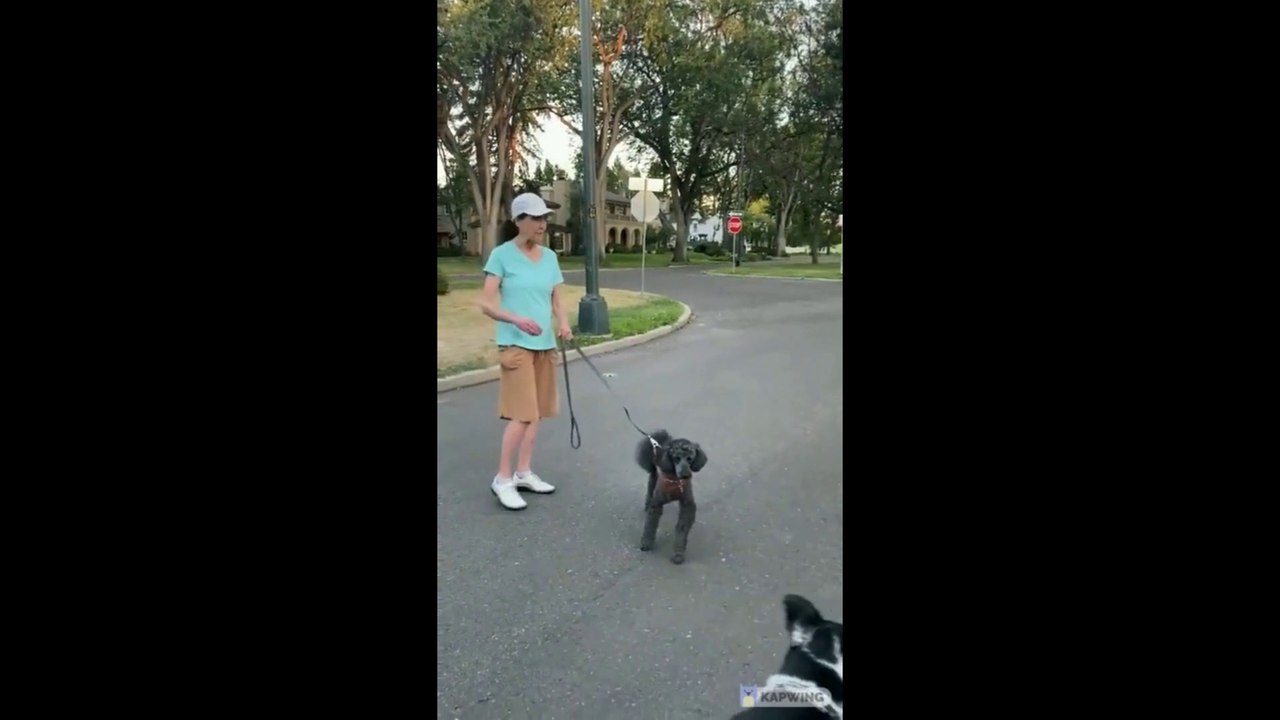 Karen Public Freakouts Compilation #1