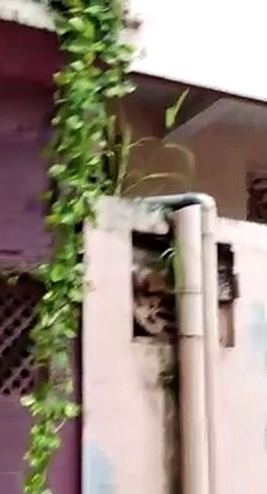 इसलिए है इंदौर नंबर वन, मुश्किल के समय में भी सहायता को तैयार शहरवासी