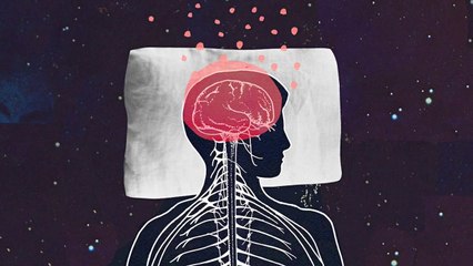 10 Questions Science Still Can't Answer