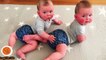 Fun And Fails Funniest Sibling Rivalry 24 Funny Babies And Pets