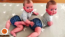 Fun And Fails Funniest Sibling Rivalry 24 Funny Babies And Pets