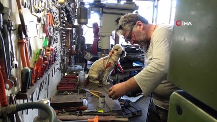 Hayvansever motor ustası elleriyle karga besliyor, köpeğiyle motorda geziyor