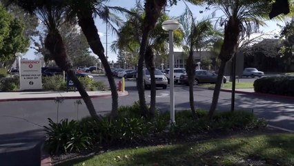 Bebés robados (Maternal Instinct) - Official Trailer