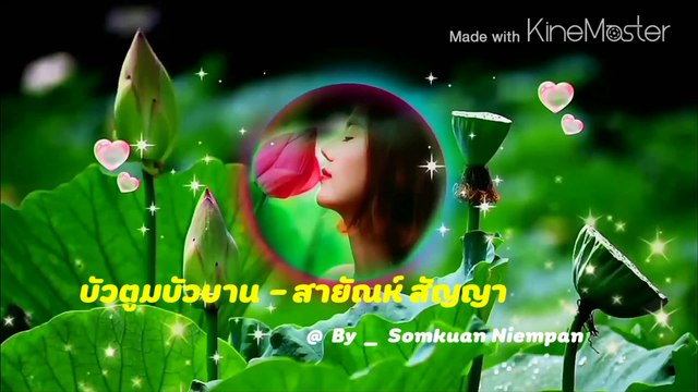 บัวตูมบัวบาน สายัณห์ สัญญา 4k - 2160 X 3840 60fps Video
