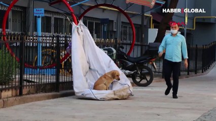 Atık topladığı çuvalda uyurken bulunan çocuk, koruma altına alındı